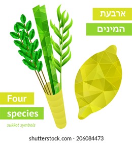 Four species - palm, willow, myrtle , etrog - symbols of Jewish holiday Sukkot. Vector illustration.