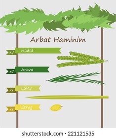 Four species - palm, willow, myrtle , lemon (arava, lulav, hadas and etrog in hebrew) - symbols of Jewish holiday Sukkot. Vector illustration , Infographics