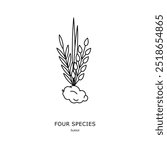 Four spices (arba