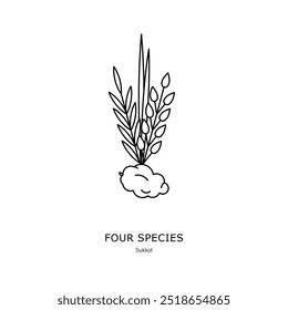 Four spices (arba'at ha-minim in Hebrew): Etrog, Lulav, Arava, Hadas in black on white background. Set of traditional plants is used during Sukkot, a Jewish holiday. For your logo, sticker, decoration