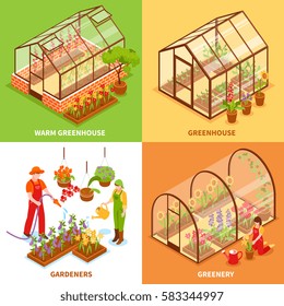 Four square isometric greenhouse design concept set with warm greenhouse gardeners and greenery descriptions vector illustration