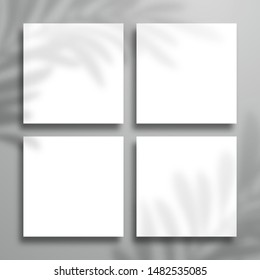 Four square white blank cards with palm tree shadow for design. Top view mockup template