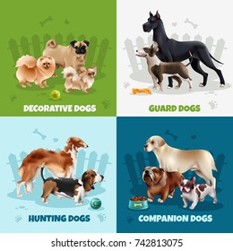 Four squares dog breeds design icon set with decorative guard hunting companion dogs descriptions vector illustration