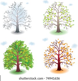 Four States Tree During Seasons Stock Vector (Royalty Free) 74941636 ...