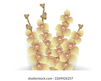Four stems with small orchid flowers and buds emerging from the bottom. Design in gradient effect over white background.