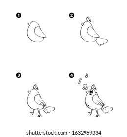 Four steps to draw cartoon nightingale isolated on white background.