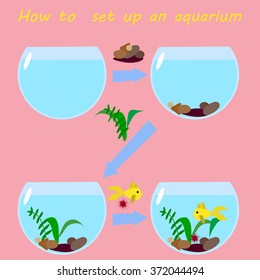 Four steps to set up an aquarium - fill the tank, put stones, plant seaweed, put the goldfish