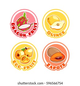 Four stickers with different exotic fruits. Dragon fruit, quince, egg fruit, and zapote. Vector cartoon illustration isolated on a white background.