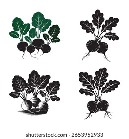 Four stylized illustrations of root vegetables with green and black leaves and roots.