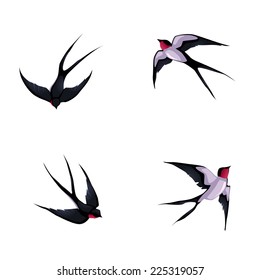 Four swallows. Vector cartoon isolated animals.