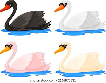 Four swans in different colours illustration