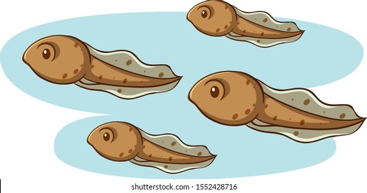 Four tadpoles swimming on white background illustration