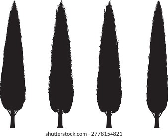 Four tall cypress tree silhouettes