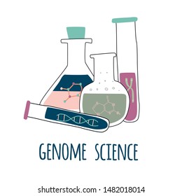 Four test tubes with helix DNA, chromosome, nucleotides. Genome science text. Genetic engineering and gene sequencing concept. Colorful doodle vector illustration in trendy cartoon style.