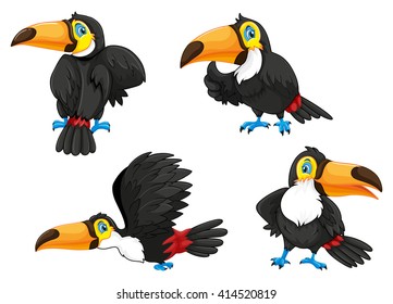 Four toucans in different poses illustration