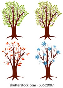 Four trees in different seasons, element for design, vector illustration