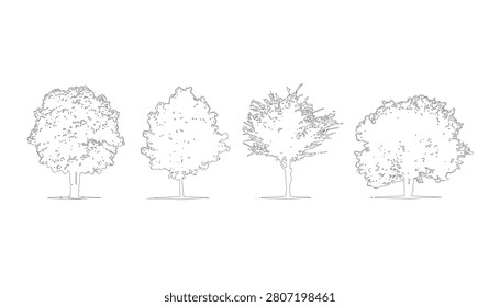 Four trees elevation view architectural drawing. Transparent white silhouettes for visual clarity. Essential for architectural projects and design.