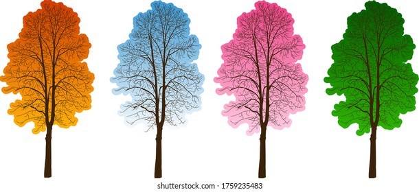 Four trees four seasons. Trees in different colors.