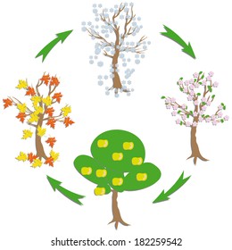 four trees there is four symbols timeses year