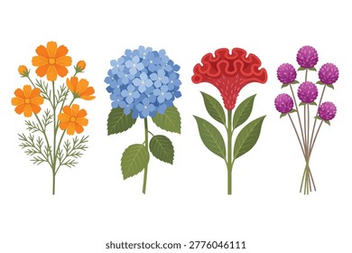 Four Tropical Botanical Bundle Edition: Cosmos, Hydrangea, Cockscomb, Globe Amaranth. Design Element. Clip art. Suitable for artwork design. Editable for any design. 