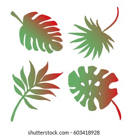 Four tropical leaves.