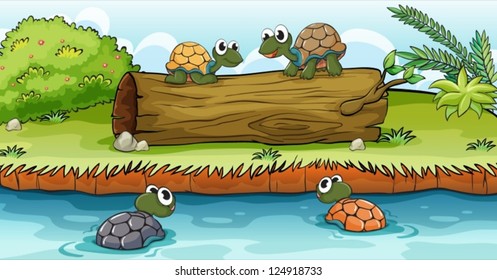 Four turtles swimming on water and standing on a log