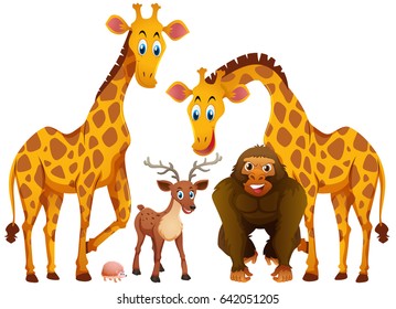 Four types of animals illustration