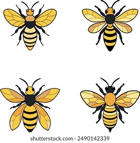 The "Four Types of Bee" flat vector art illustration features a charming and educational depiction of four different bee species in a clean, minimalist style. Each bee is rendered with distinct patter