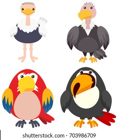 Vier Vogelarten auf weißem Hintergrund Vektorgrafik