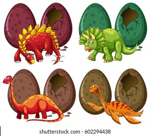 Four types of dinosaurs and eggs illustration