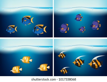 Four underwater scenes with different types of fish illustration