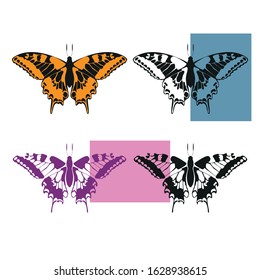Four variants of the butterfly.