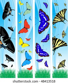four vector butterflies banners