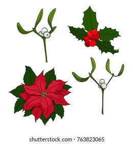 Four vector Christmas elements for your designs. Poinsettia, holly berry, mistletoe.