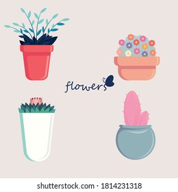 four vector flowers in pots. cactus, colored chamomile