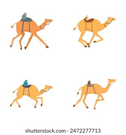 Four vector illustrations of cartoon camels with saddles, depicted in different poses