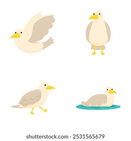 Quatro ilustrações vetoriais de gaivotas de desenhos animados bonitos em poses diferentes em um fundo branco