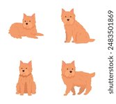 Four vector illustrations featuring cute cairn terrier dogs in different standing and sitting poses