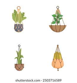 Four vector illustrations of indoor plants in stylish hanging pots isolated on a white background