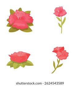 Four vector illustrations of pink roses in different styles and angles, isolated on white
