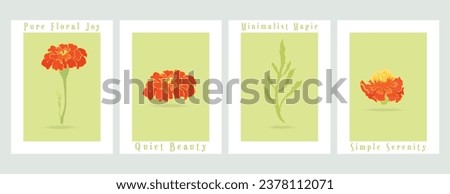 Four vector minimalistic banners with plant parts of the common garden flowers. Fully colored flowers on the colored background. Illustrations for greeting cards, invitations, interior design, etc.