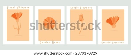 Four vector minimalistic banners with plant parts of the common garden flowers. Fully colored flowers on the colored background. Illustrations for greeting cards, invitations, interior design, etc.
