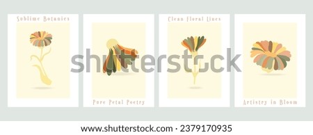 Four vector minimalistic banners with plant parts of the common garden flowers. Fully colored flowers on the colored background. Illustrations for greeting cards, invitations, interior design, etc.