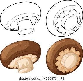 Four vector mushroom icons including line art and colored versions on a white background.