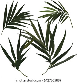 Four Vector plant units with all different leaves and branches. Different color and shape of every leave.
