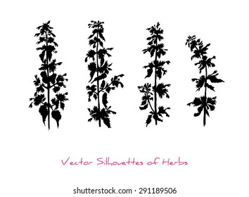 Four vector silhouettes of herbs (presumably Lamium purpureum)