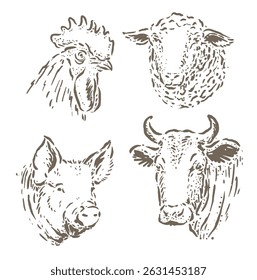 four vector sketch illustrations of farm animals with unique and elegant depictions