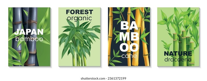 Four vertical realistic bamboo poster set with japan bamboo forest organic and nature dracaena headlines vector illustration