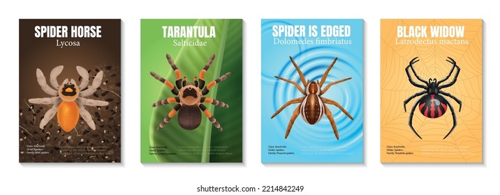 Four vertical realistic spiders poster set with spider horse tarantula black widow vector illustration