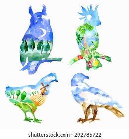 Four watercolor vector silhouettes of birds (owl, chicken, eagle, parrot) with views - night, countryside, mountains, tropic.